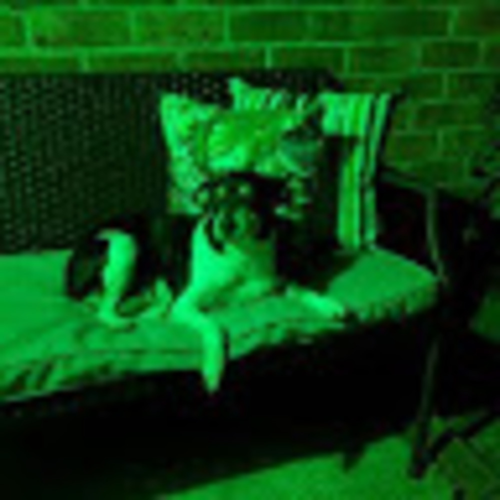 Meet your Posher, Justin